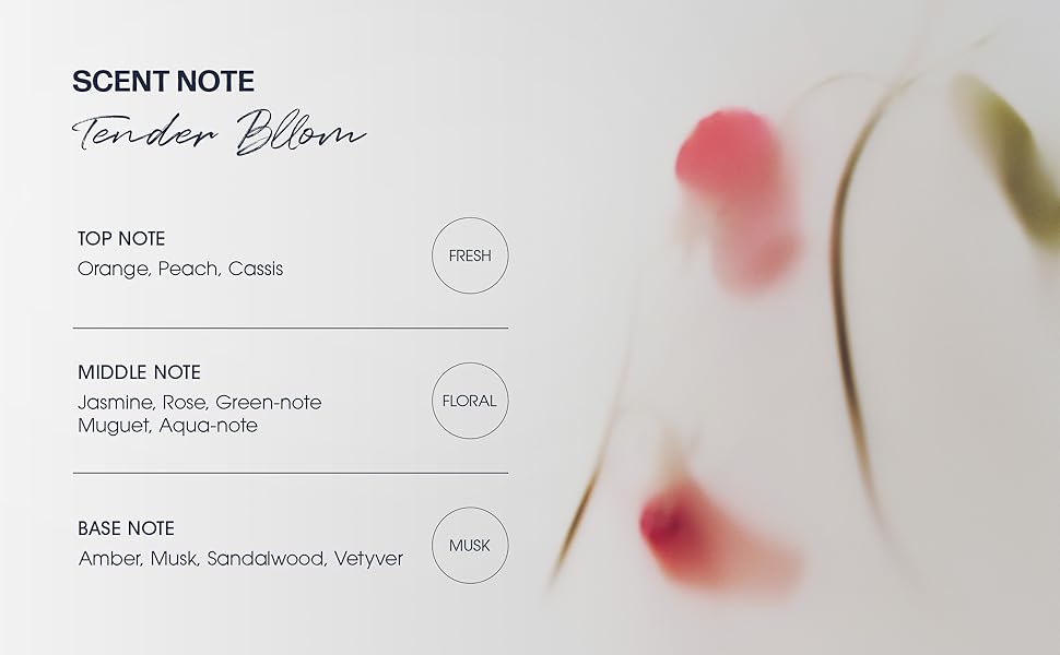 scent note